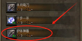<strong>战士的护体神盾技能有什么作用？</strong>