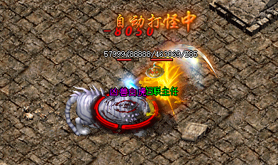 <strong>传奇世界私服中沧月魔法技能指南</strong>