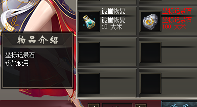 <strong>新开1.76传奇中怎么正确使用坐标记录石？</strong>